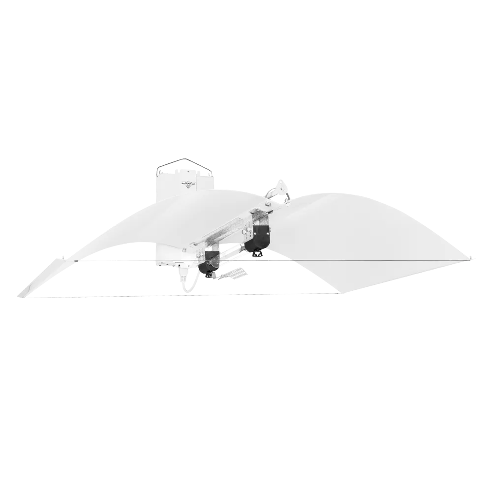 1000w DE-HPS Hellion Lighting System