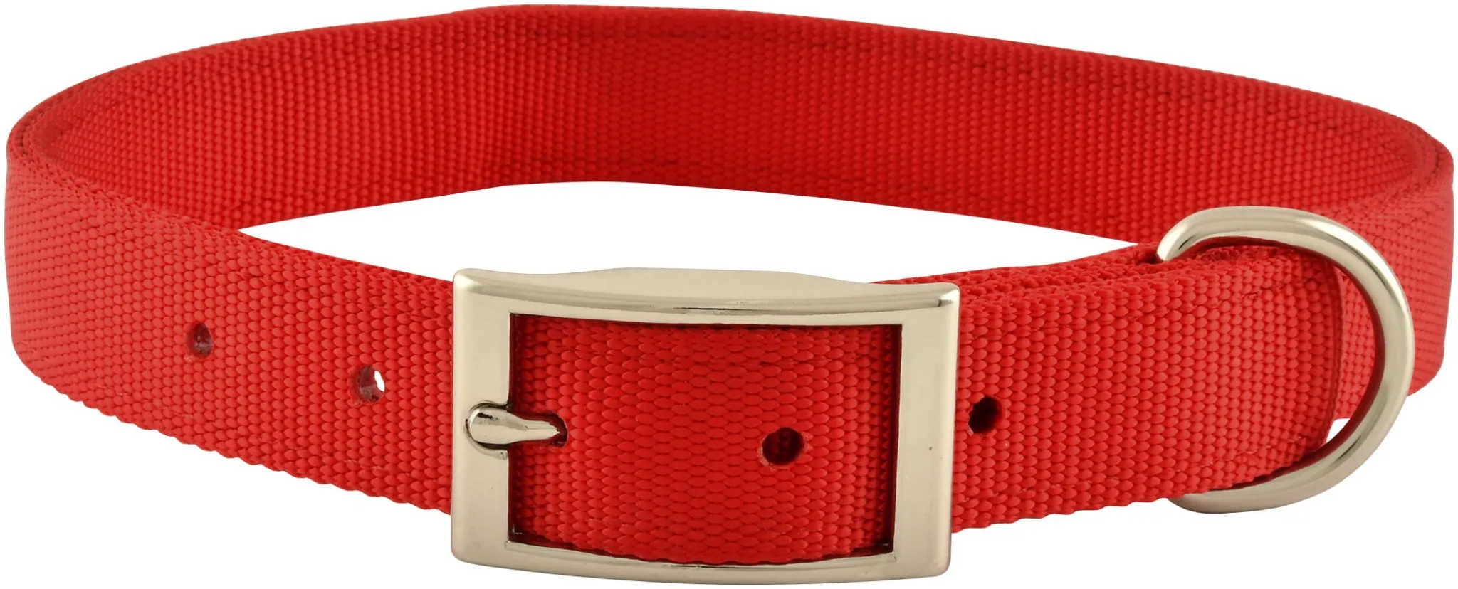 1" Nylon Dog Collar, 24"L