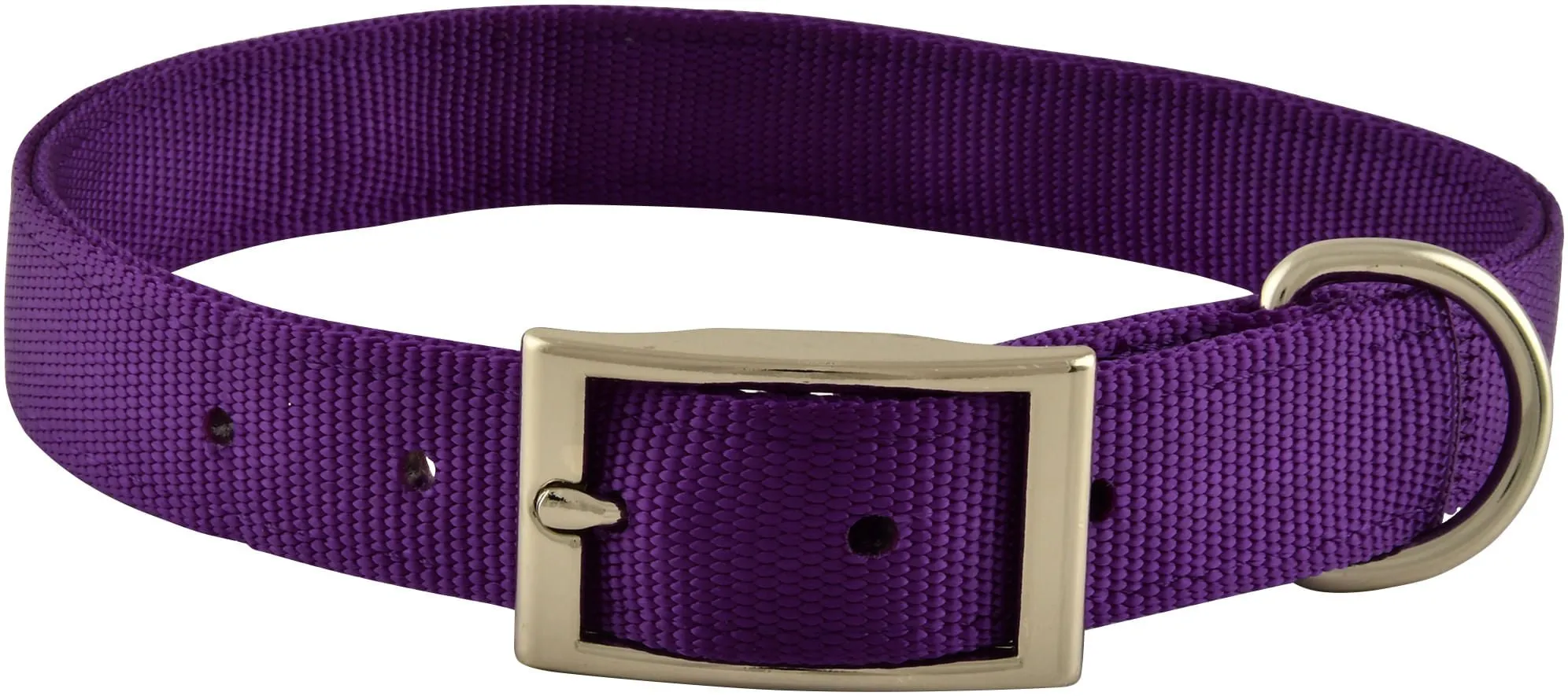 1" Nylon Dog Collar, 26"L