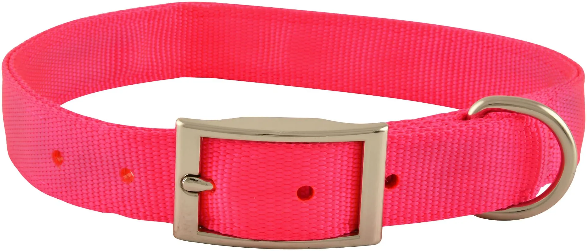 1" Nylon Dog Collar, 26"L