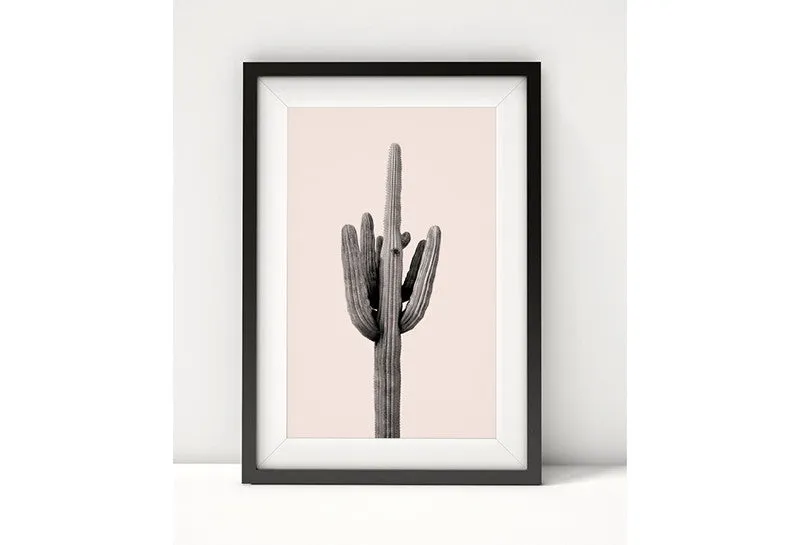 affiche Cactus