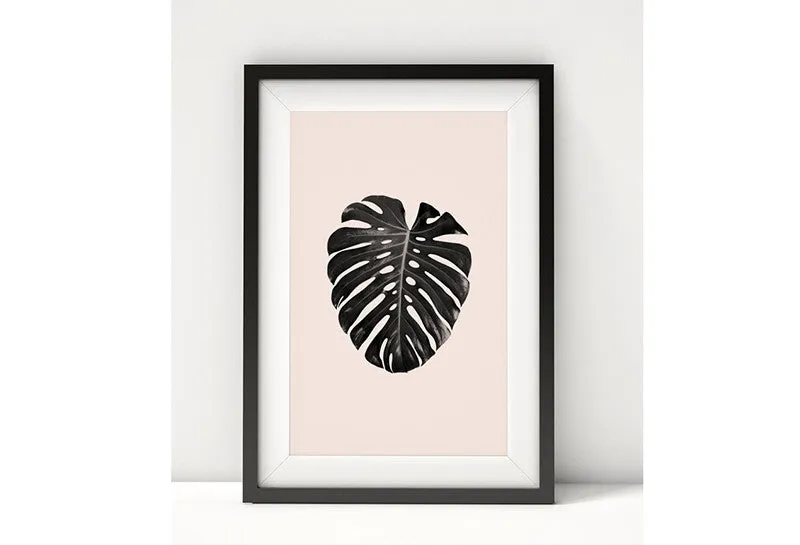 affiche Monstera