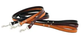 Auburn Town Leash - Many Colors