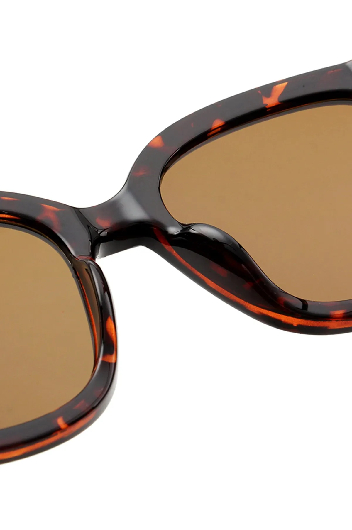 Billy Sunglasses Demi Tortoise