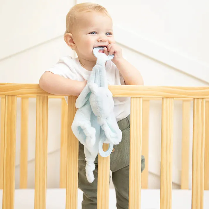 Blue Dog Teether Buddy