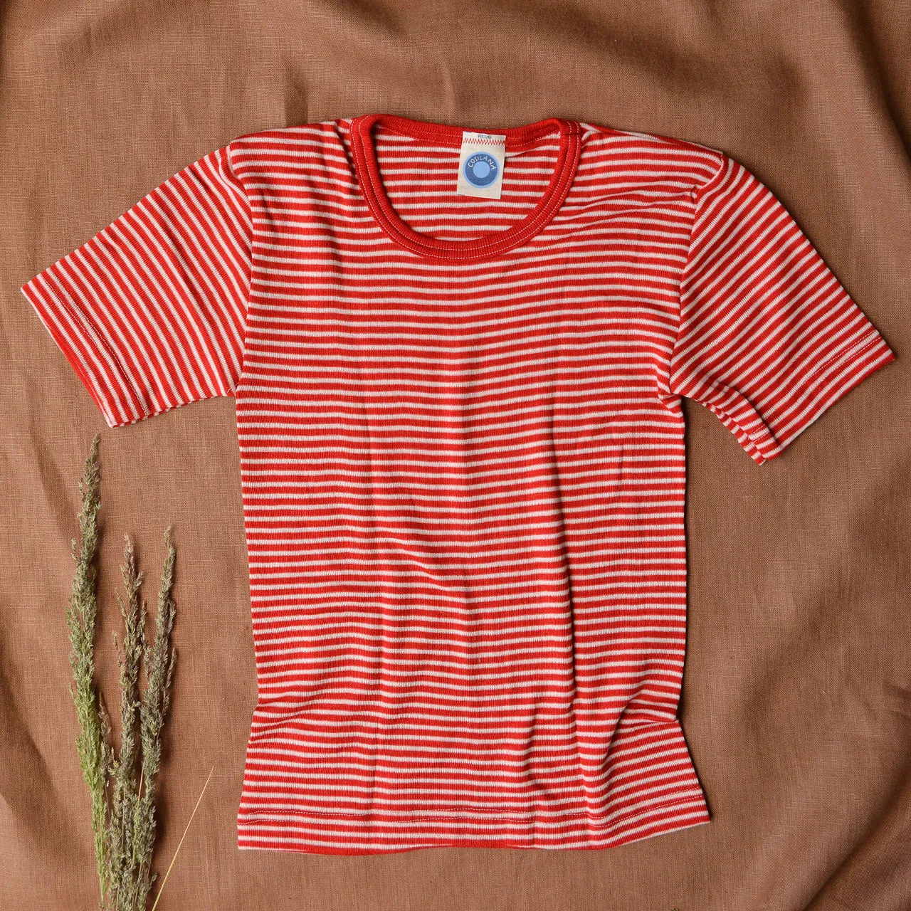 Child's T-Shirt - Organic Merino/Silk - Stripes (1-12y)