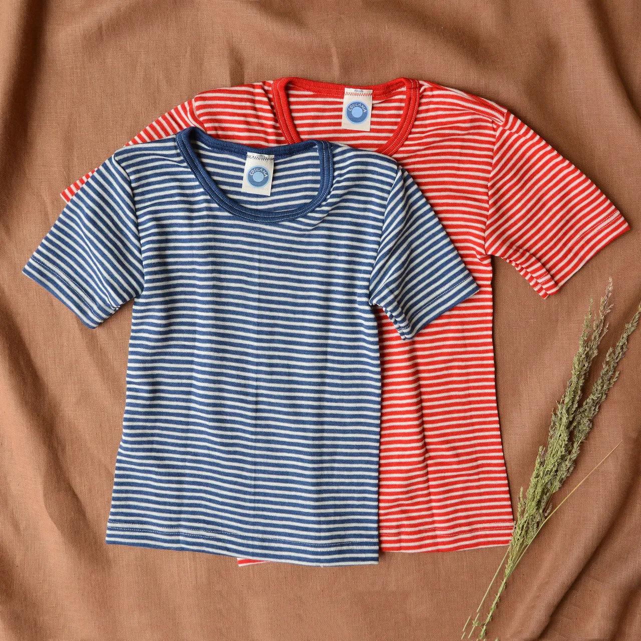 Child's T-Shirt - Organic Merino/Silk - Stripes (1-12y)