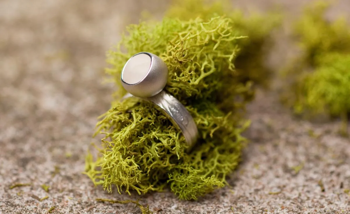 Fairy Cup Ring on Wood Grain