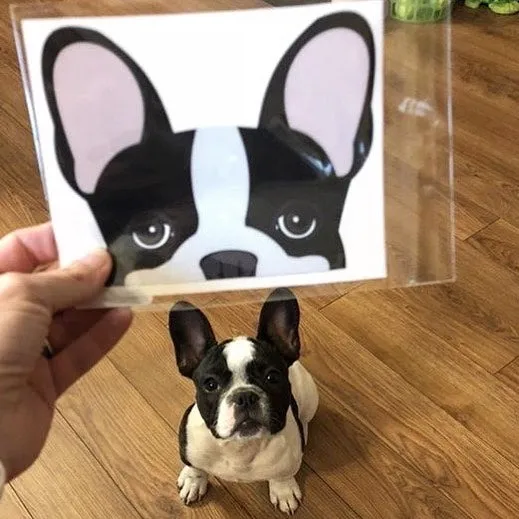 Frenchie Sticker | Frenchiestore | Black Pied French Bulldog Car Decal