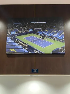 "US Open" Canvas Print by Joel Leslie