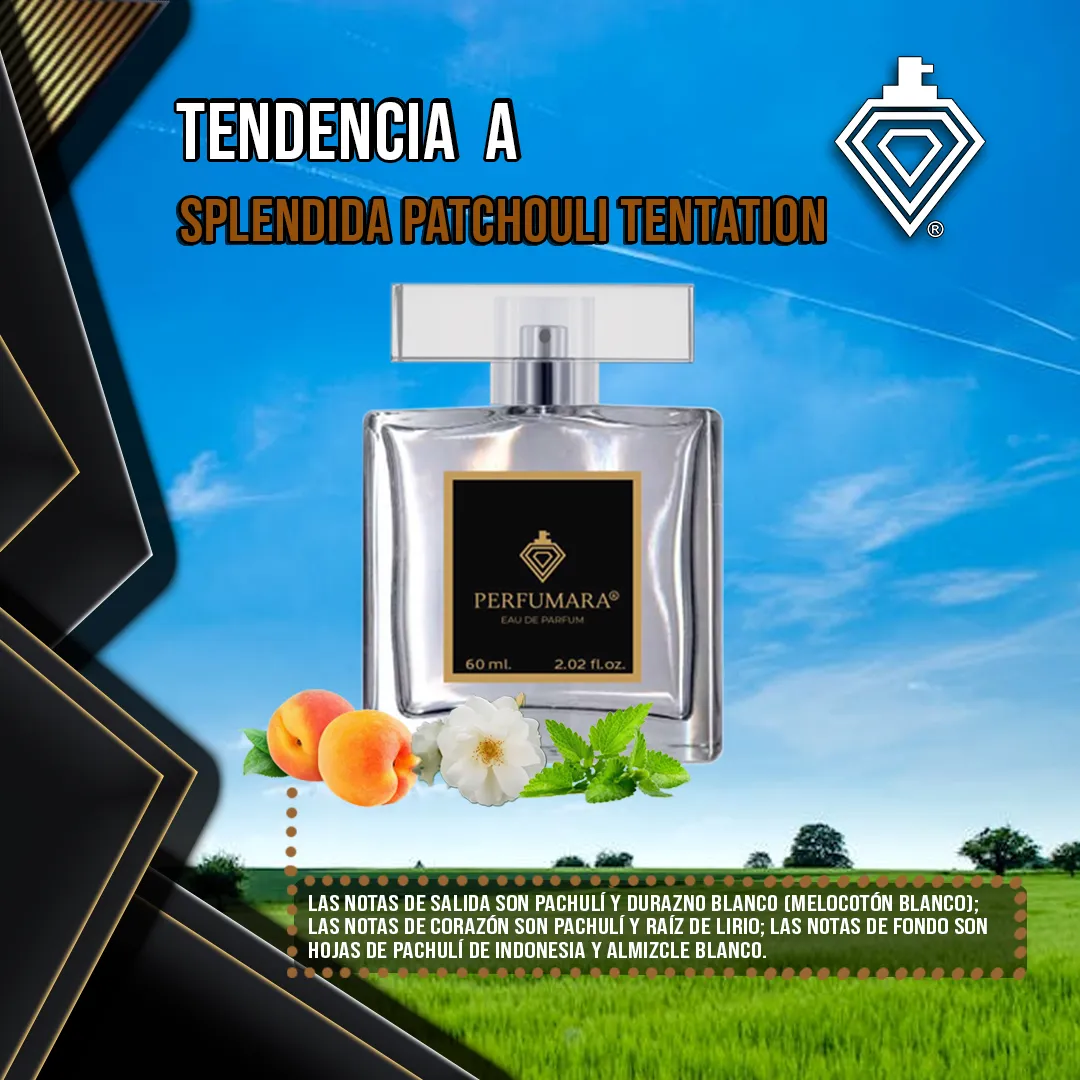 Tendencia a DSplendida Patchouli Tentation