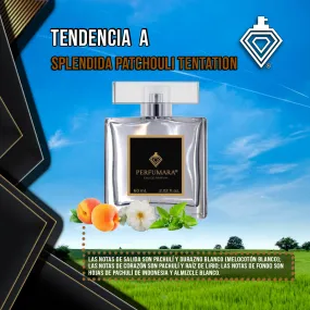 Tendencia a DSplendida Patchouli Tentation